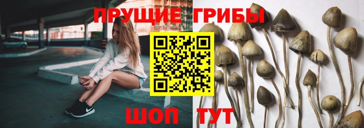 купить   Галлюциногенные грибы мицелий  Лесосибирск  Вход с VPN  Галлюциногенные грибы Cubensis 